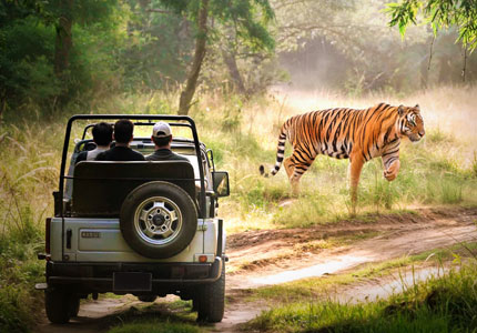 Jim Corbett & Nainital
