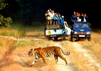 Jim Corbett & Nainital
